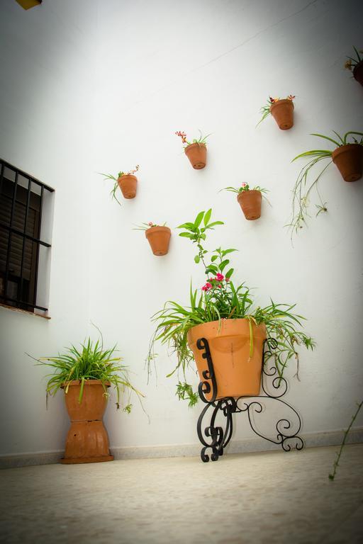 Hostal Malia Conil De La Frontera Extérieur photo